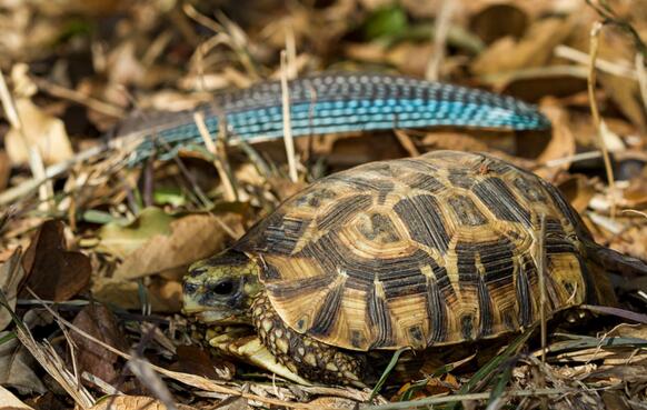 QQ截图20160810163558