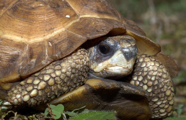 QQ截图20160810164911