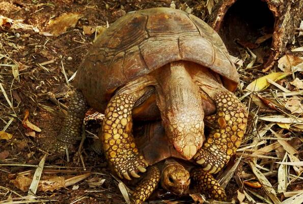 QQ截图20160810170611