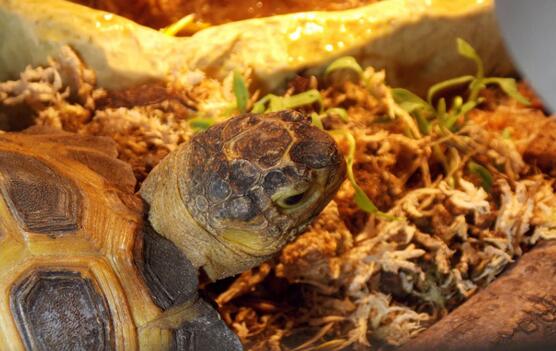 QQ截图20160810163824