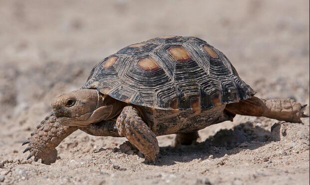 QQ截图20160810162439