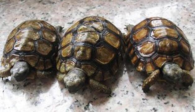 QQ截图20160810171551