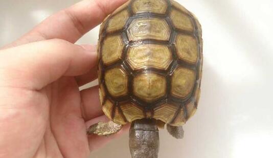 QQ截图20160810171545