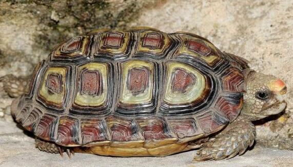 QQ截图20160810163400