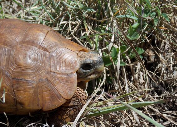 QQ截图20160810172717