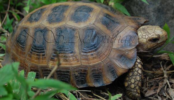 QQ截图20160810170710