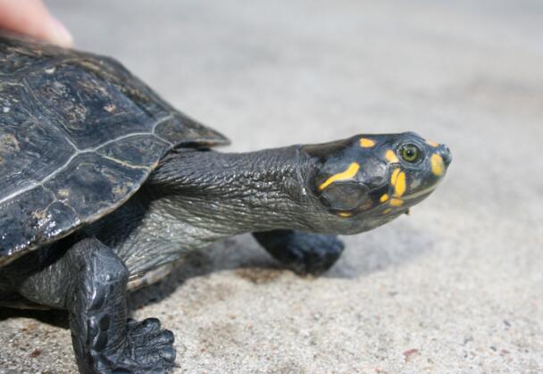 QQ截图20160810174310