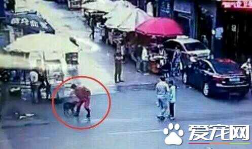 贵州恶犬2小时咬伤23人 遭警察围捕乱棒击杀