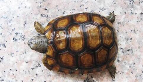 QQ截图20160810171559