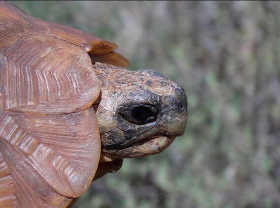 QQ截图20160810172711