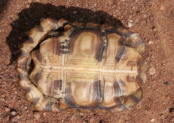 QQ截图20160810172721