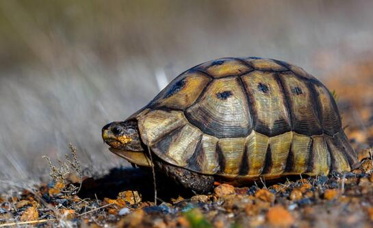 QQ截图20160810164011