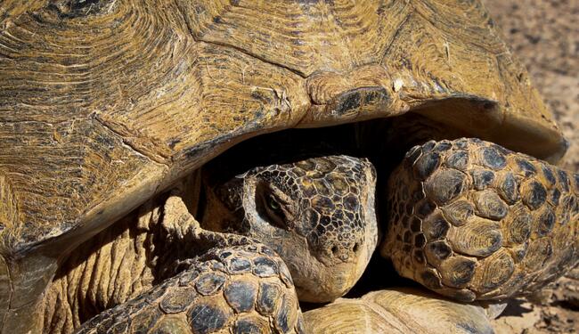 QQ截图20160810165928