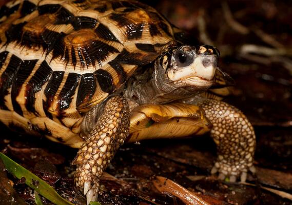 QQ截图20160810164916