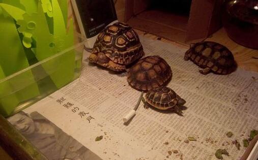 QQ截图20160810171634