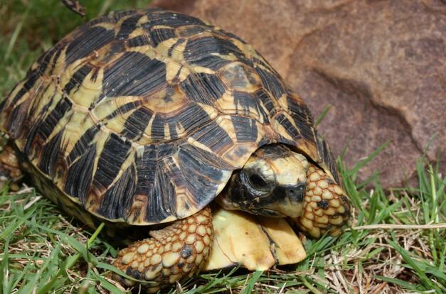 QQ截图20160810163536