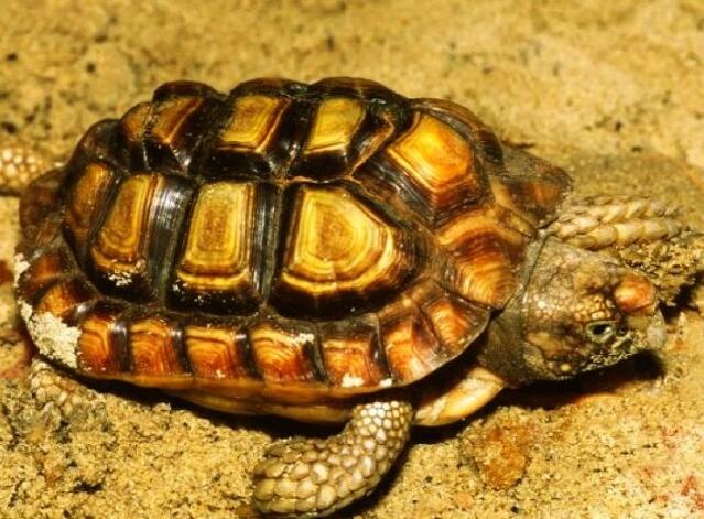 QQ截图20160810163041