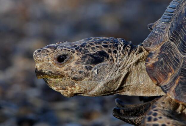 QQ截图20160810162447