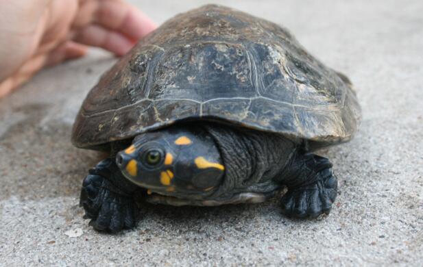 QQ截图20160810174304