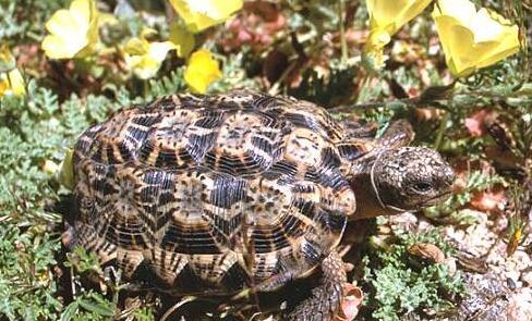 QQ截图20160810174100