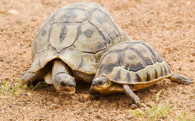 QQ截图20160810164018