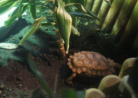 QQ截图20160810162156