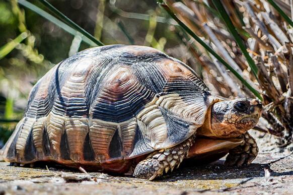 QQ截图20160810164025