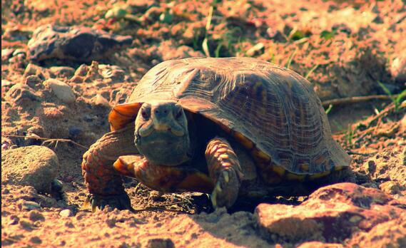 QQ截图20160810165935