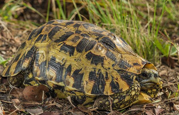 QQ截图20160810163541