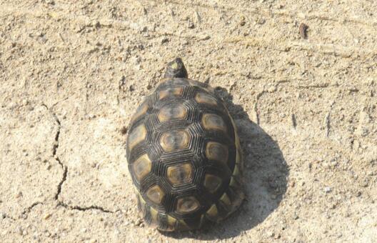 QQ截图20160810173957