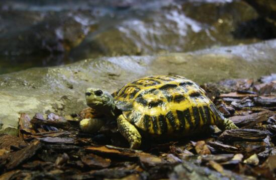 QQ截图20160810162145