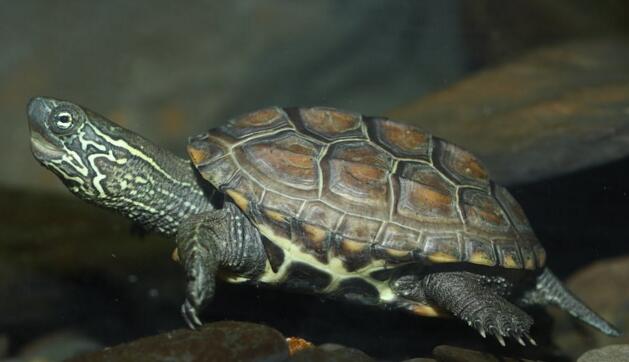 QQ截图20160811170207