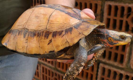 QQ截图20160811173144