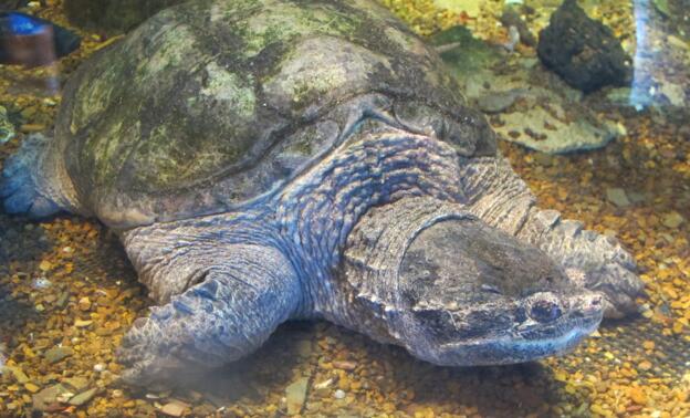 QQ截图20160811161815