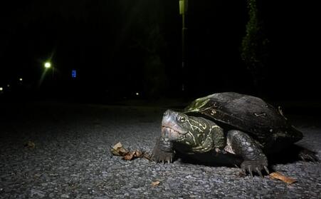 QQ截图20160811170159