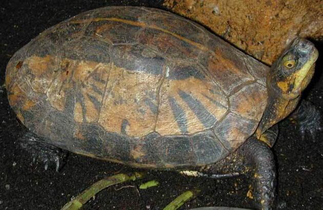 QQ截图20160811173136