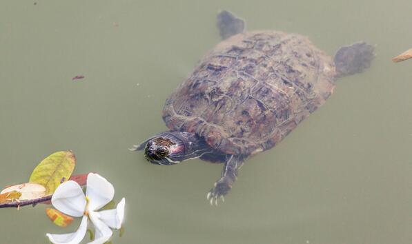 QQ截图20160811171827