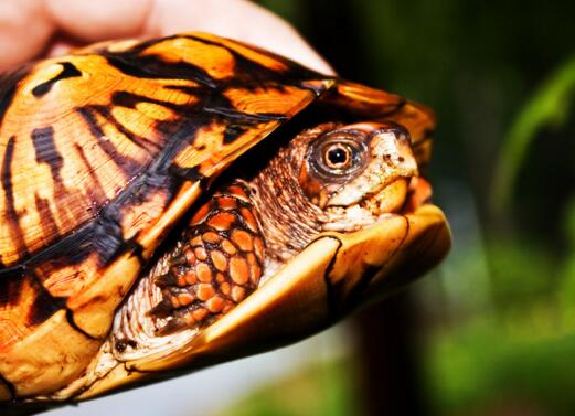 QQ截图20160811165639