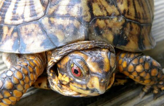 QQ截图20160811163748