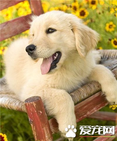 今天阳光灿烂，所以心情也美美哒呢！