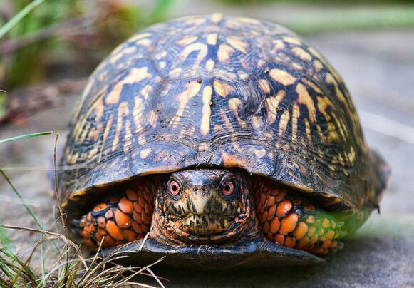 QQ截图20160811164040