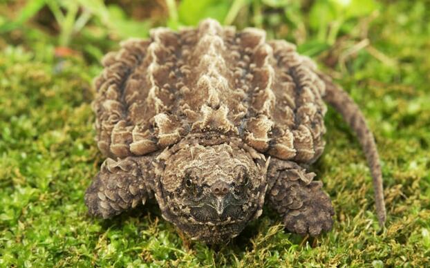 QQ截图20160811162403