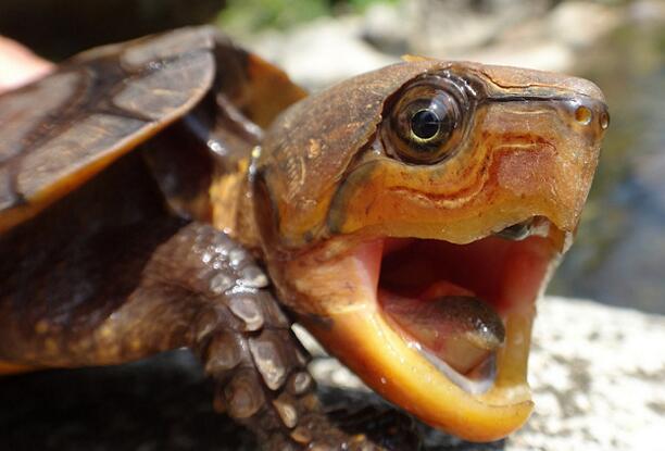 QQ截图20160811173839