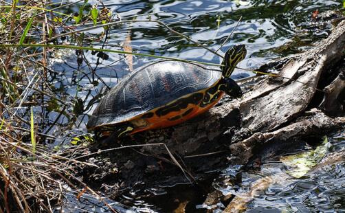 QQ截图20160811165650