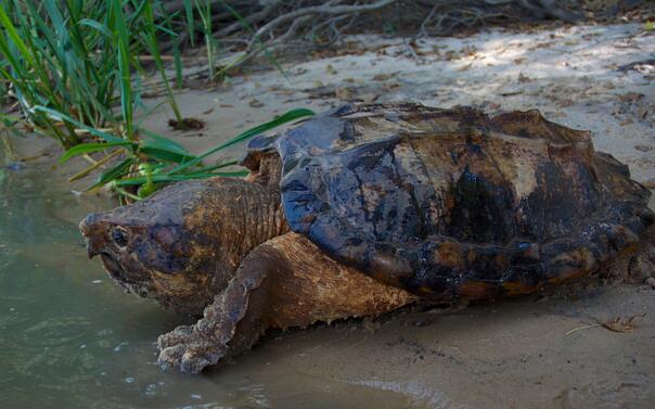 QQ截图20160811161810