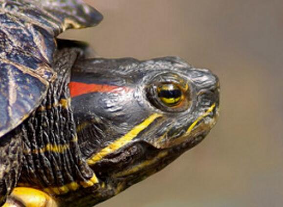 QQ截图20160811171835