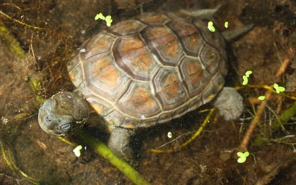 QQ截图20160811170216