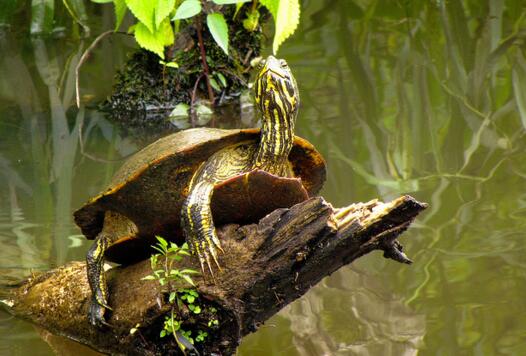 QQ截图20160811171843