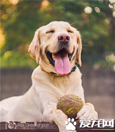 再脏的球都不嫌弃，因为这是自己的球，这就是真爱！