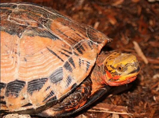 QQ截图20160811173129